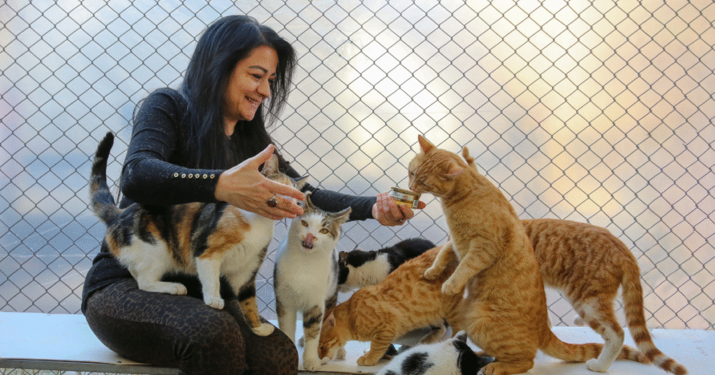 pet care tips,how to care for your pet, daily pet care routine, best pet care advice, healthy pet lifestyle,thepfinfo.com