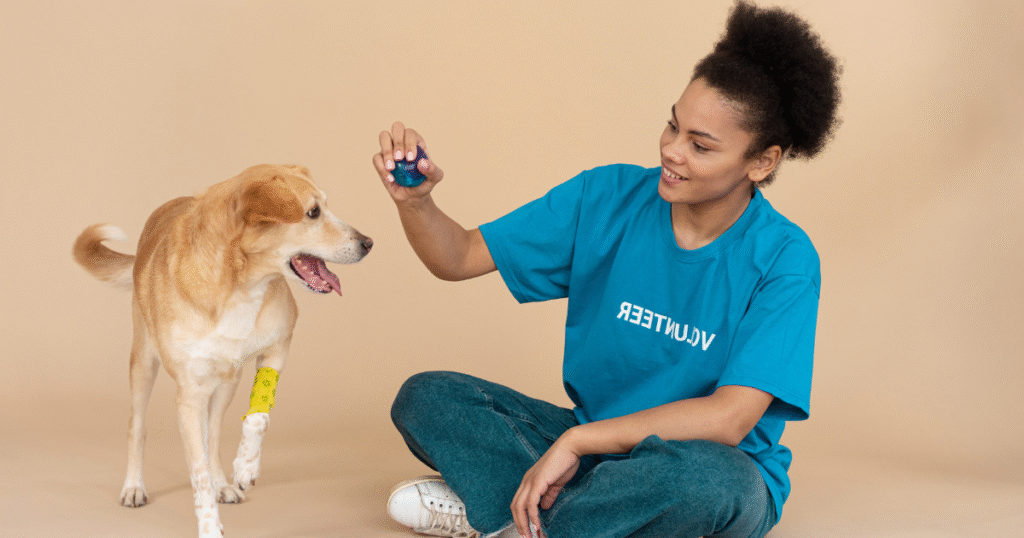 pet care tips,how to care for your pet, daily pet care routine, best pet care advice, healthy pet lifestyle,thepfinfo.com